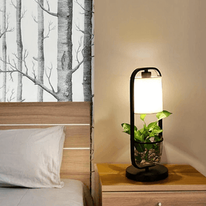 Augustus - Frame Planter LED Desk Lamp | Bright & Plus.