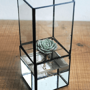 Barnabas - Modern Hydroponic Succulent Frame Planter | Bright & Plus.