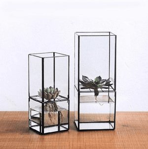 Barnabas - Modern Hydroponic Succulent Frame Planter | Bright & Plus.